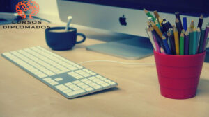 estudios Edomex